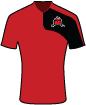 Eastbourne Borough shirt