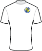 Havant and Waterlooville Football Club shirt