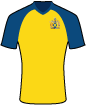 St Albans City Football Club shirt