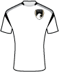 Weston-super-Mare AFC shirt