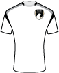 Weston super Mare shirt