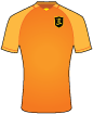 Livingston Football Club shirt