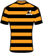 Alloa Athletic Football Club shirt