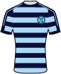 Forfar Athletic Football Club shirt