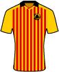 Partick Thistle Football Club shirt