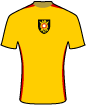 Albion Rovers Football Club shirt
