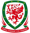 Wales shirt