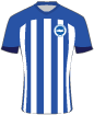 Brighton and Hove Albion FC shirt