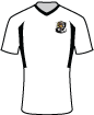 Dartford Football Club shirt