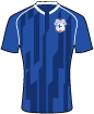 Cardiff City shirt