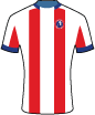 Dorking Wanderers FC shirt