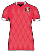 Charlton Athletic Women shirt