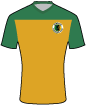Horsham Football Club shirt