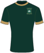 Plymouth Argyle shirt