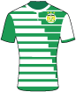 Yeovil Town Football Club shirt