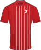 Cheltenham Town Football Club shirt